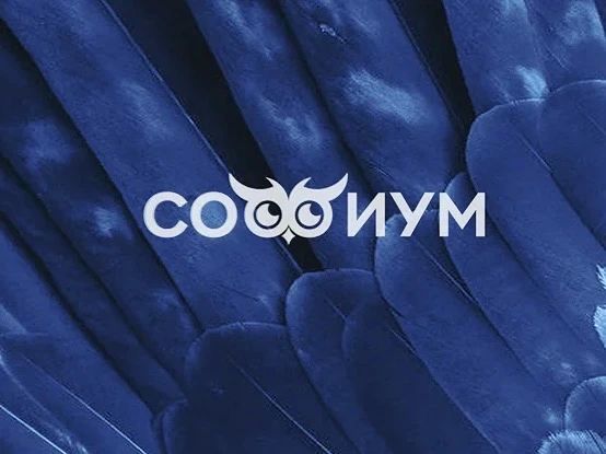 7 ноября 2026 года ЦИК Республики Татарстан и Республиканский олимпиадный центр проведут региональный отборочный тур Всероссийской олимпиады школьников по вопросам избирательного права и избирательного процесса «Софиум»