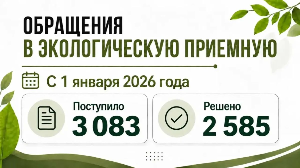 2 585 обращений жителей решено экологами с начала года