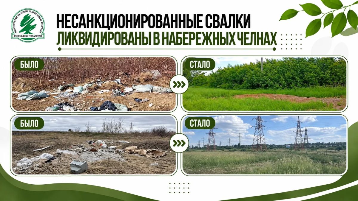 В Набережных Челнах по предостережениям экологов ликвидировали две несанкционированные свалки