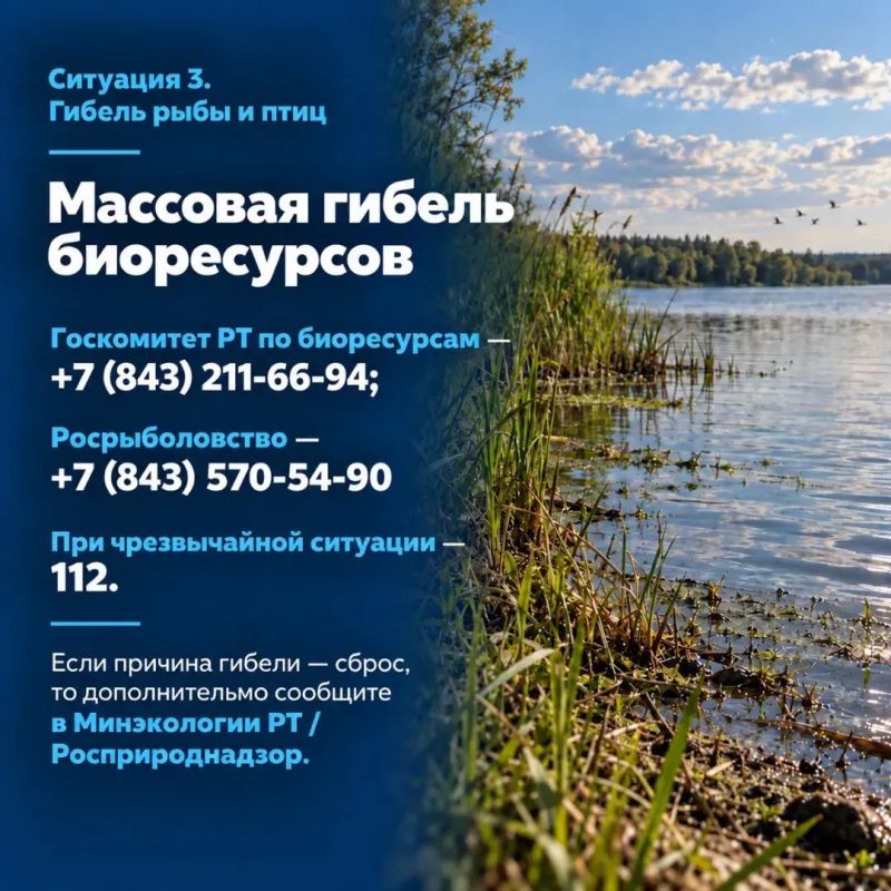 Открываю рубрику «Приемная министра» для самых частых вопросов — коротко и по адресам Открываю рубрику «Приемная министра» для самых частых вопросов — коротко и по адресам