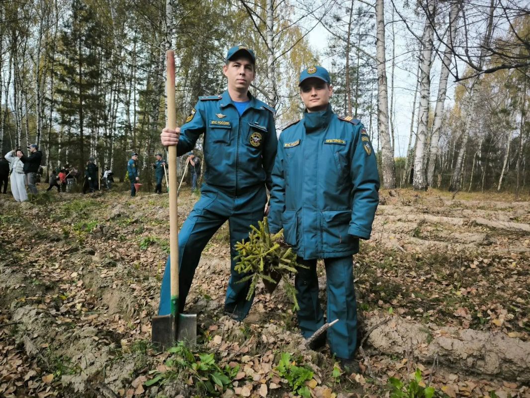 Сотрудники Главного управления приняли участие в экологической акции «Сохраним лес» Сотрудники Главного управления приняли участие в экологической акции «Сохраним лес»