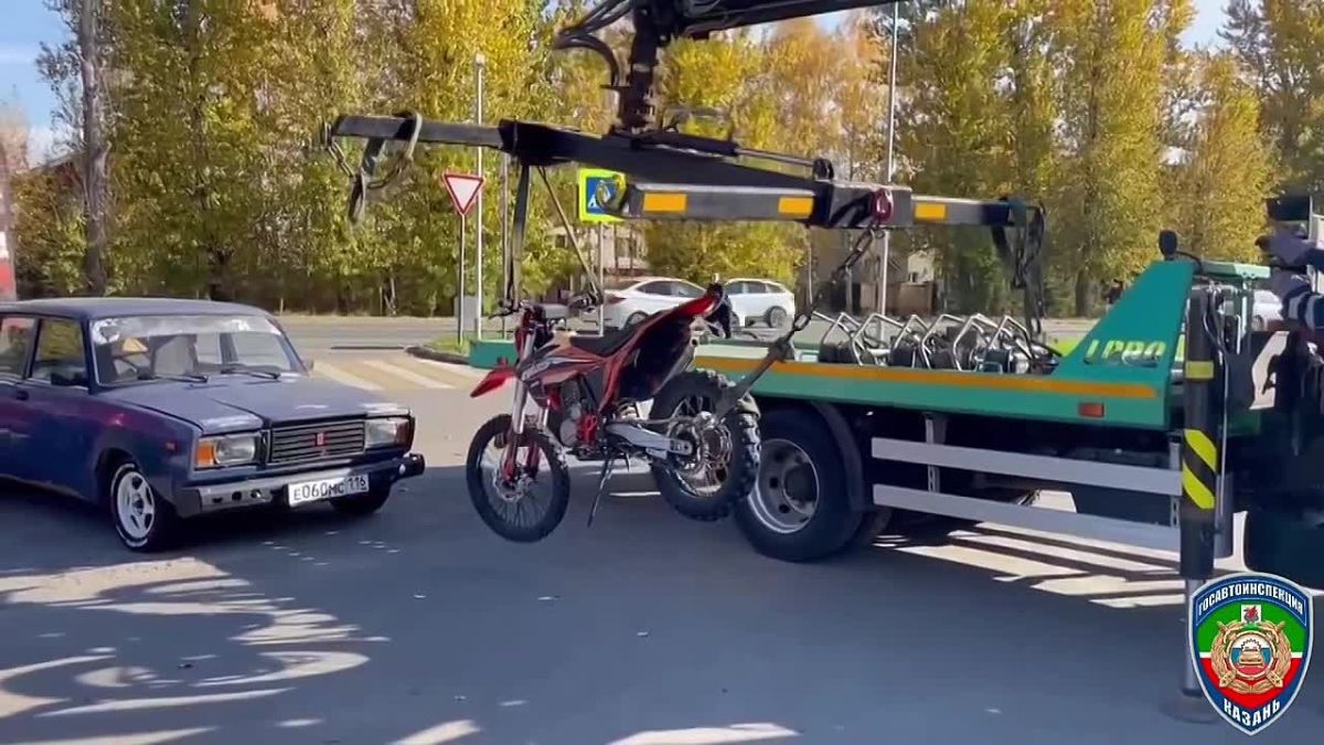 Кадры, которые могут поднять настроение казанцам