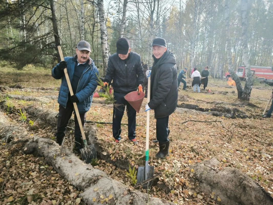 Сотрудники Главного управления приняли участие в экологической акции «Сохраним лес» Сотрудники Главного управления приняли участие в экологической акции «Сохраним лес»