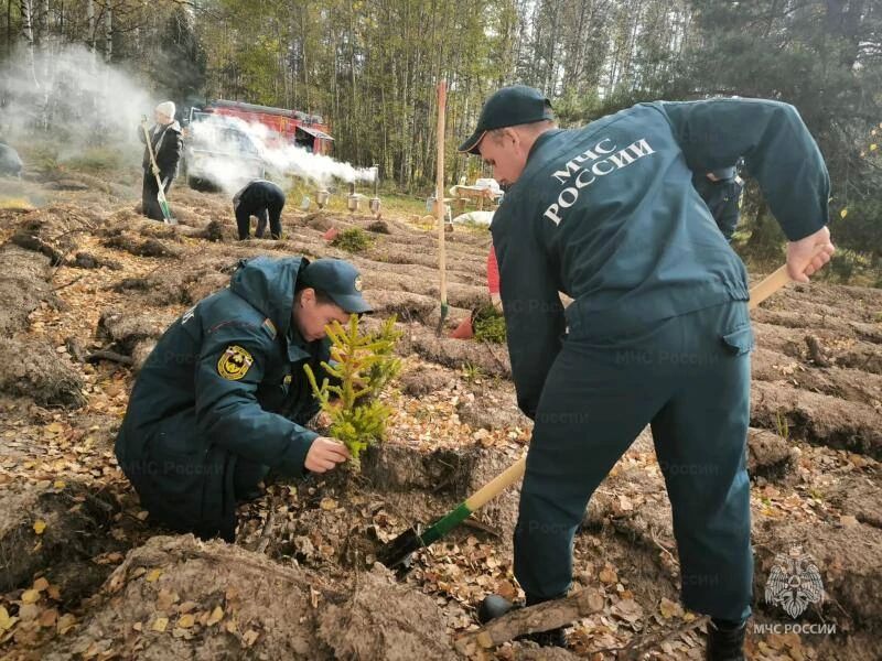 Сотрудники Главного управления приняли участие в экологической акции «Сохраним лес» Сотрудники Главного управления приняли участие в экологической акции «Сохраним лес»