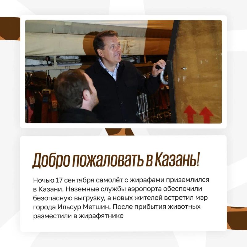 Из Африки в Казань: как живут жирафы в зооботсаду Из Африки в Казань: как живут жирафы в зооботсаду