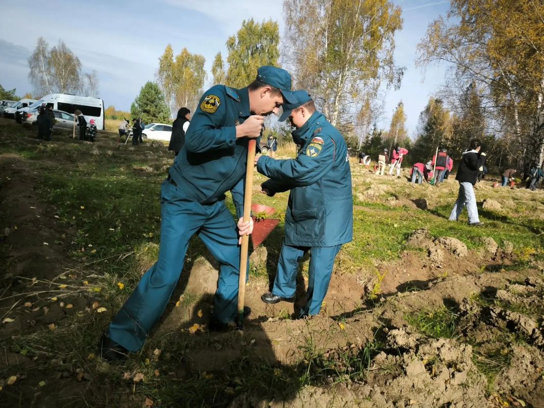 Сотрудники Главного управления приняли участие в экологической акции «Сохраним лес» Сотрудники Главного управления приняли участие в экологической акции «Сохраним лес»