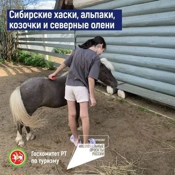 Семейная ферма «Дыхание севера» в Елабужском районе расширила возможности для приема туристов Семейная ферма «Дыхание севера» в Елабужском районе расширила возможности для приема туристов