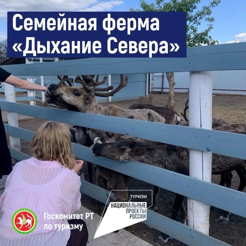Семейная ферма «Дыхание севера» в Елабужском районе расширила возможности для приема туристов