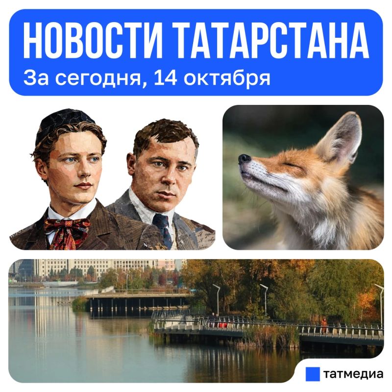 Главное за сегодня, 14 октября