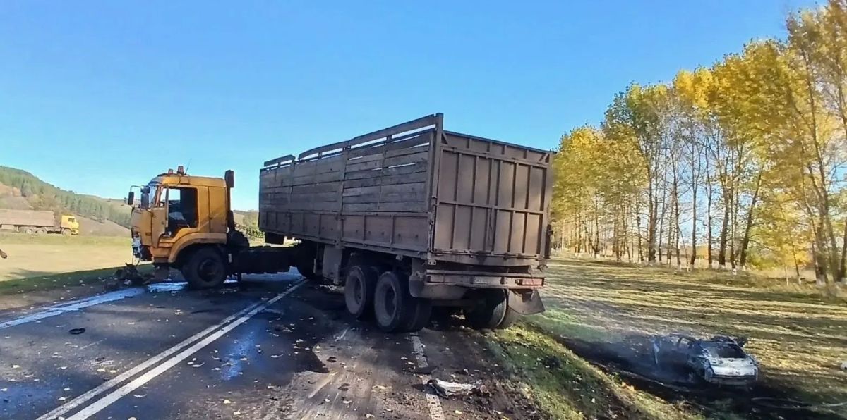 14 октября в Заинском районе водитель автомобиля Changan, по предварительным данным, без цели обгона выехал на встречную полосу и совершил столкновение с КамАЗом