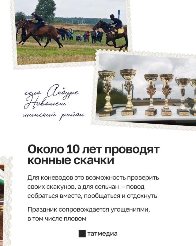 Два Рамиса из Татарстана посвятили жизнь лошадям Два Рамиса из Татарстана посвятили жизнь лошадям