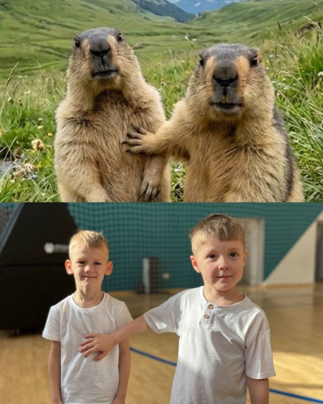 Наши дошколята в тренде!. Сегодня в спортивном комплексе «Сибур Арена НК» стартовал фестиваль ГТО среди воспитанников детских садов
