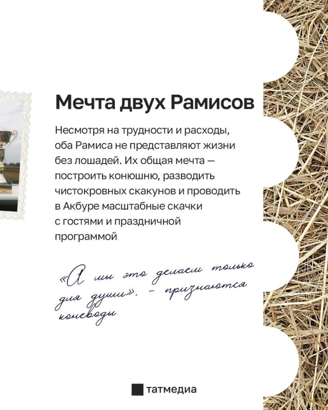 Два Рамиса из Татарстана посвятили жизнь лошадям Два Рамиса из Татарстана посвятили жизнь лошадям