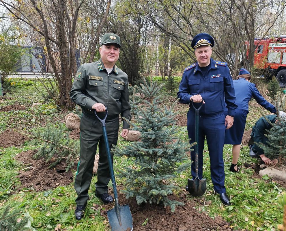 Офицеры следственного управления высадили саженцы в природном заказнике «Голубые озера» Офицеры следственного управления высадили саженцы в природном заказнике «Голубые озера»