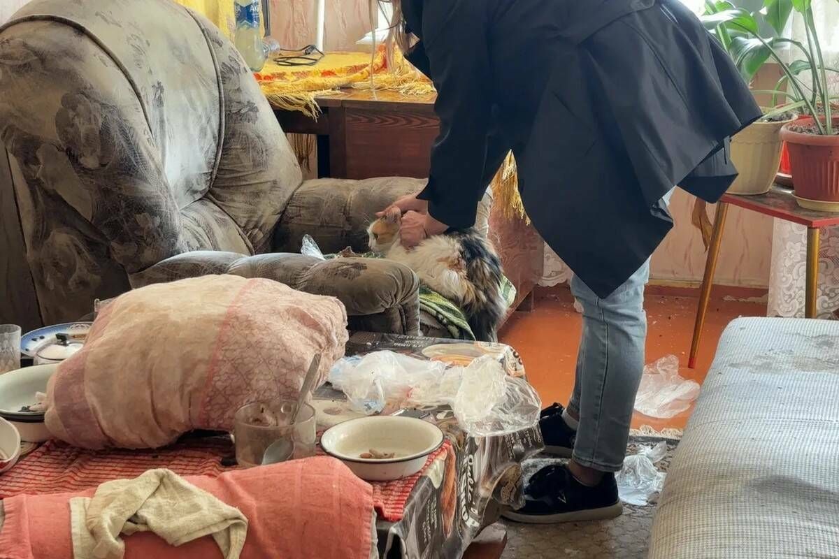 В Нижнекамске спасли кошку, запертую в квартире после смерти хозяина