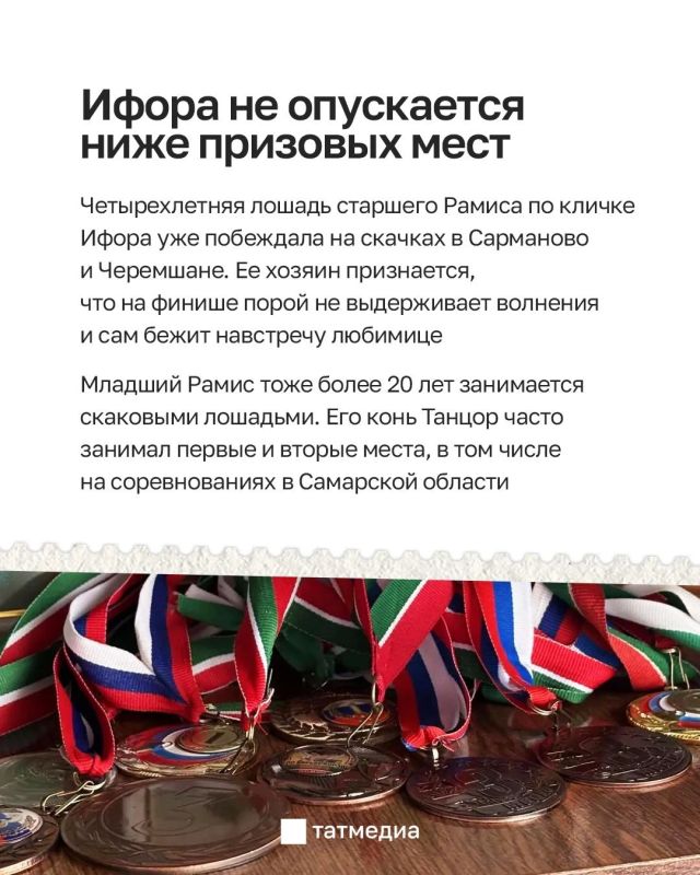 Два Рамиса из Татарстана посвятили жизнь лошадям Два Рамиса из Татарстана посвятили жизнь лошадям
