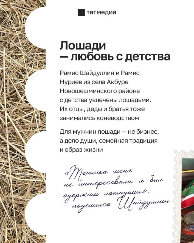 Два Рамиса из Татарстана посвятили жизнь лошадям Два Рамиса из Татарстана посвятили жизнь лошадям