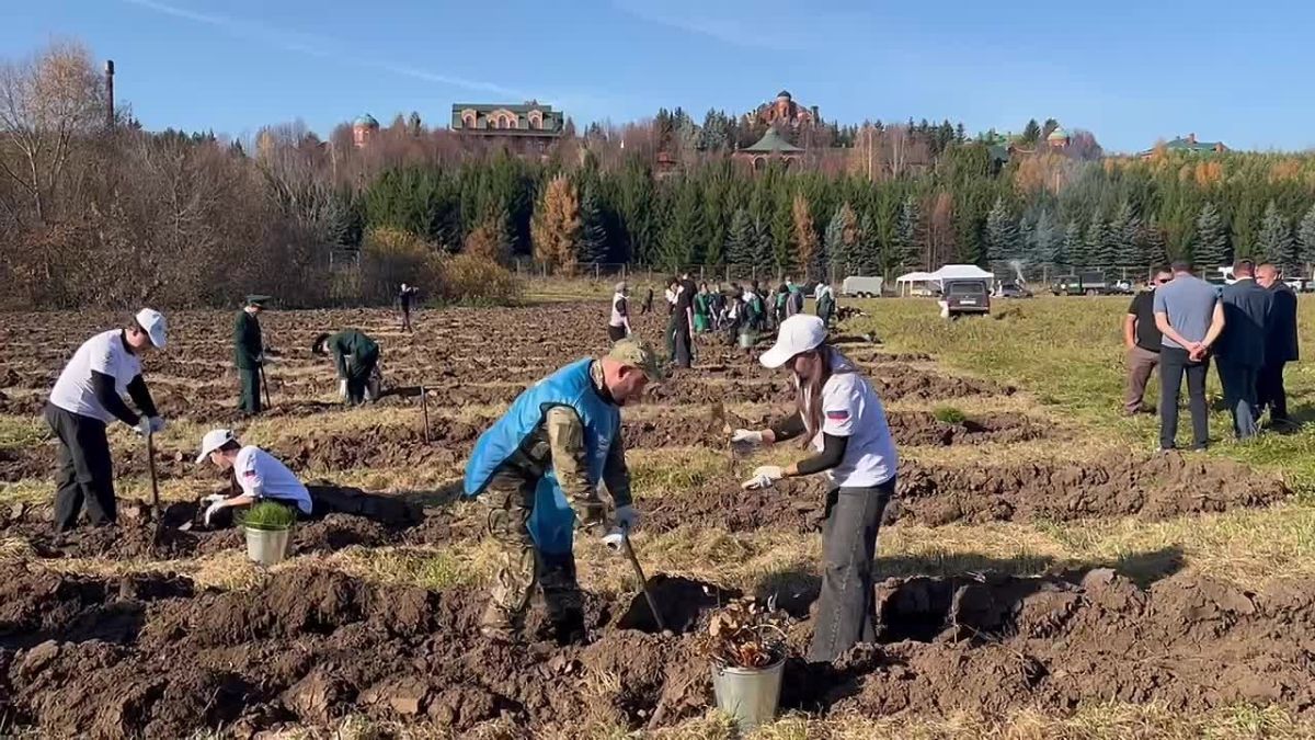 5 тысяч деревьев укрепят берега Казанки!
