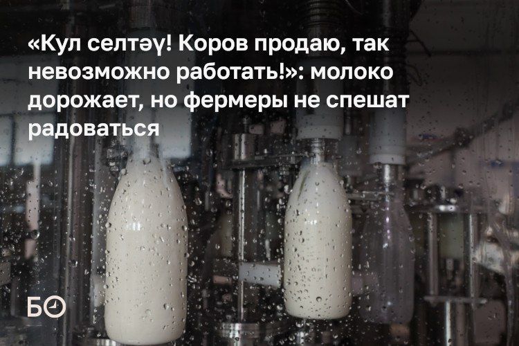 15 миллиардов рублей — столько потеряли сельхозпроизводители Татарстана из-за разницы между закупочными ценами и затратами на производство сырого молока в 2026 году