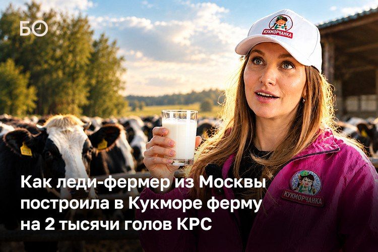 6 лет назад московская бизнесвумен с татарскими корнями Стелла Халикова-Брундукова решила стать фермером — и, по ее словам, от этой идеи ее не отговаривал только ленивый, включая первых лиц регионов: «Гламурная девушка, ну...