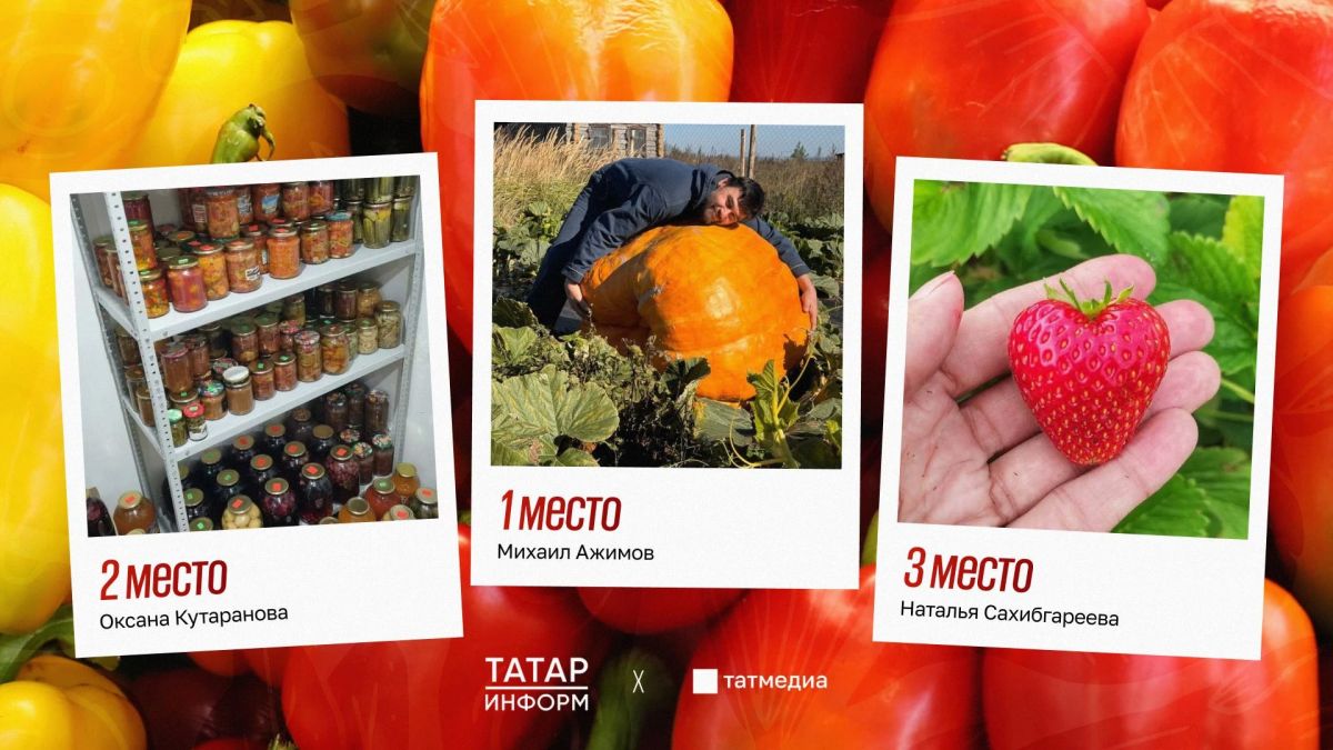 Стали известны победители фотоконкурса «А у нас на грядке...»