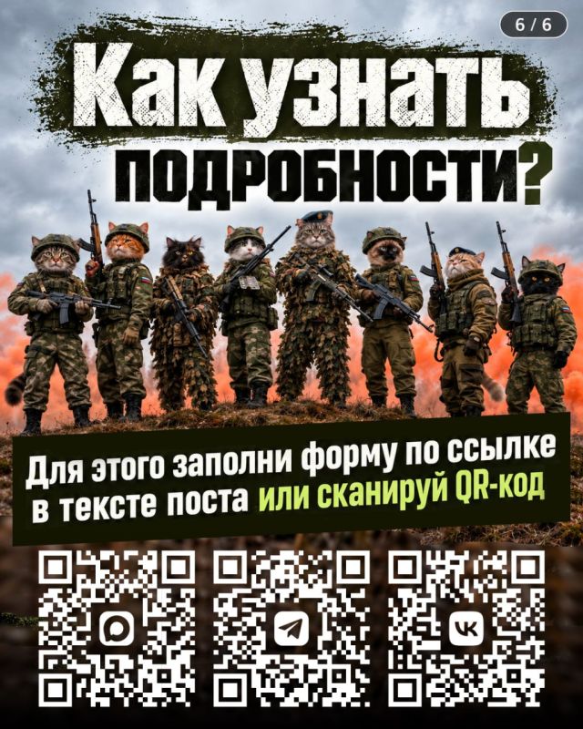 Из Татарстана по контракту можно попасть в разные войска: от Африканского корпуса до Войск беспилотных систем Из Татарстана по контракту можно попасть в разные войска: от Африканского корпуса до Войск беспилотных систем