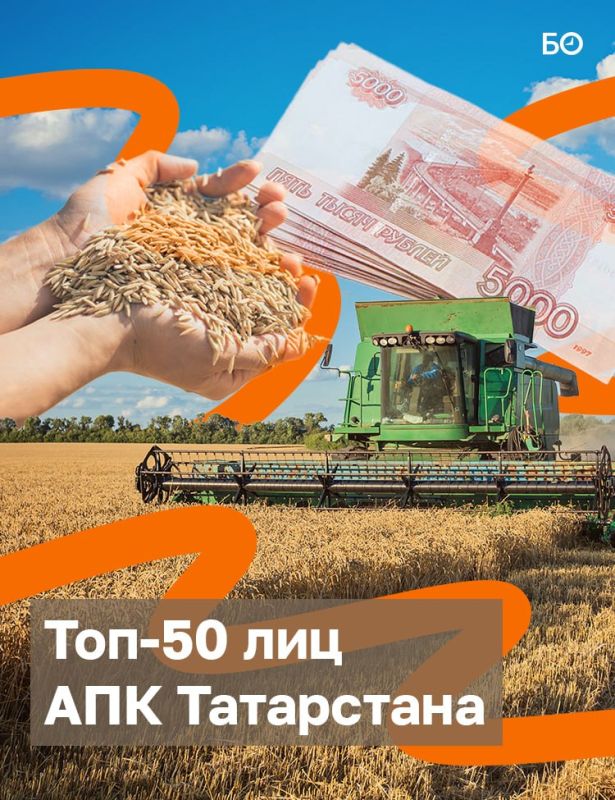Татарстан завершил уборку основных зерновых — валовой сбор составил 3,8 млн т при средней урожайности 34,5 ц/га