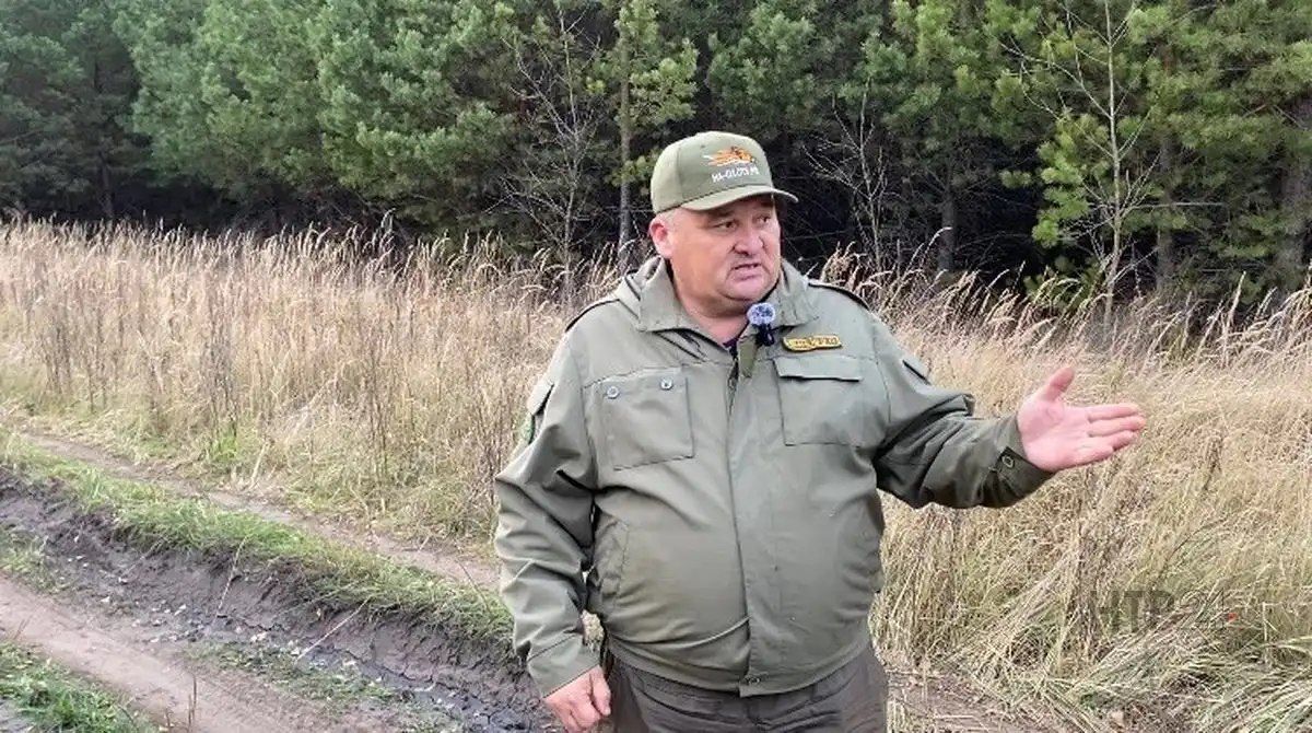 На Соболековской улице в Нижнекамске установили прибор «Чистон АОЖ», предназначенный для отпугивания диких животных, чтобы лоси, косули, кабаны, лисы и зайцы не выходили на проезжую часть На Соболековской улице в Нижнекамске установили прибор «Чистон АОЖ», предназначенный для отпугивания диких животных, чтобы лоси, косули, кабаны, лисы и зайцы не выходили на проезжую часть