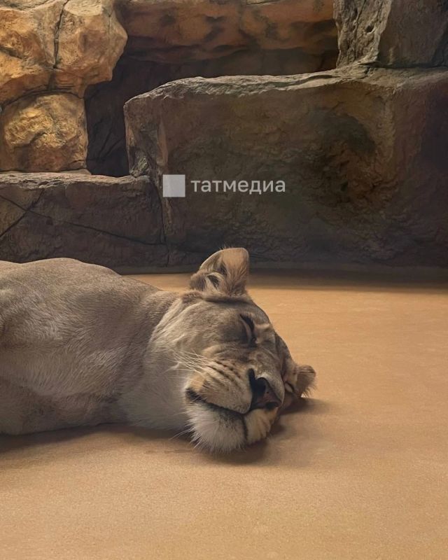 Казанский зооботсад закроют на один день