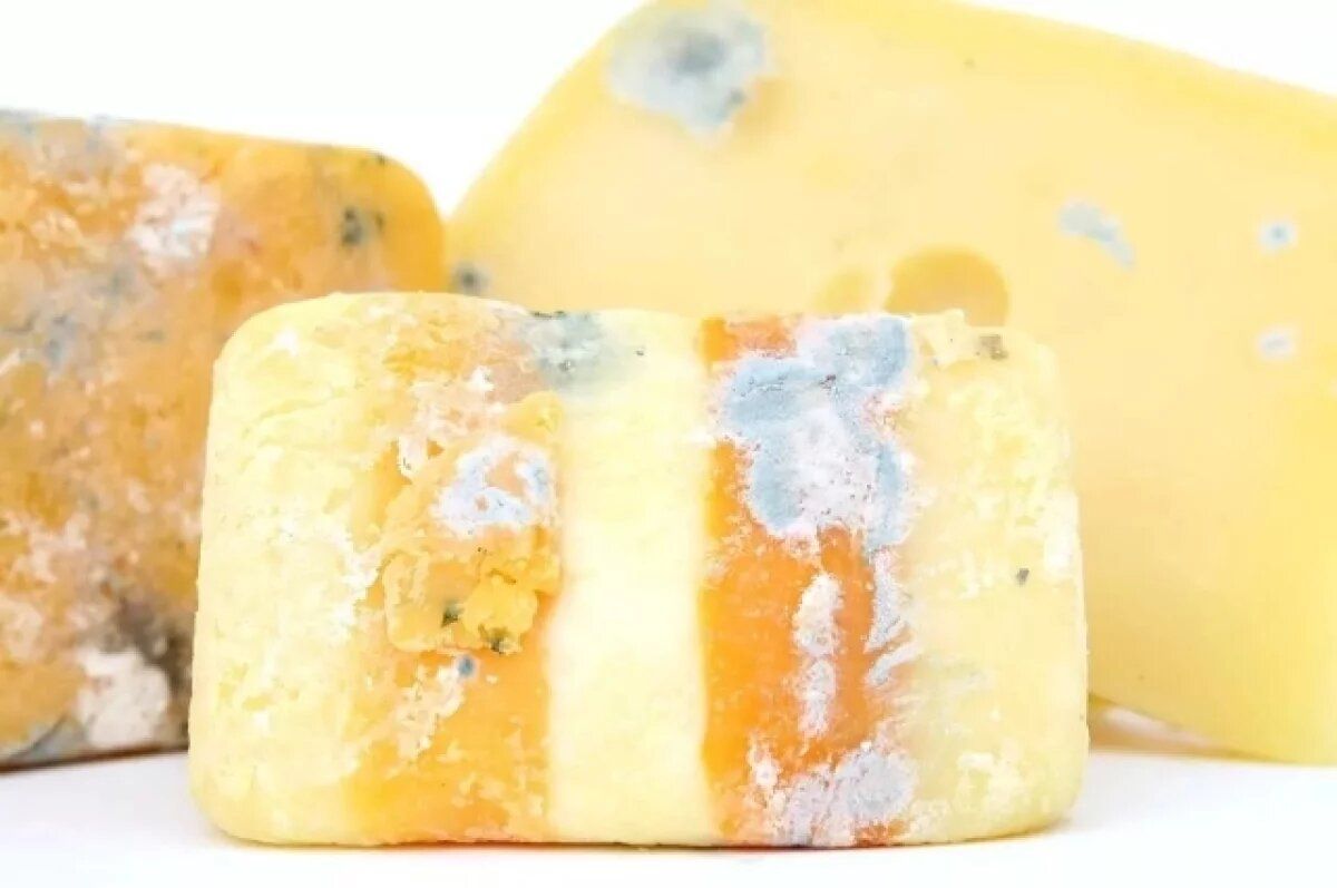 Срезать плесень — не выход: какие продукты нужно выбрасывать целиком