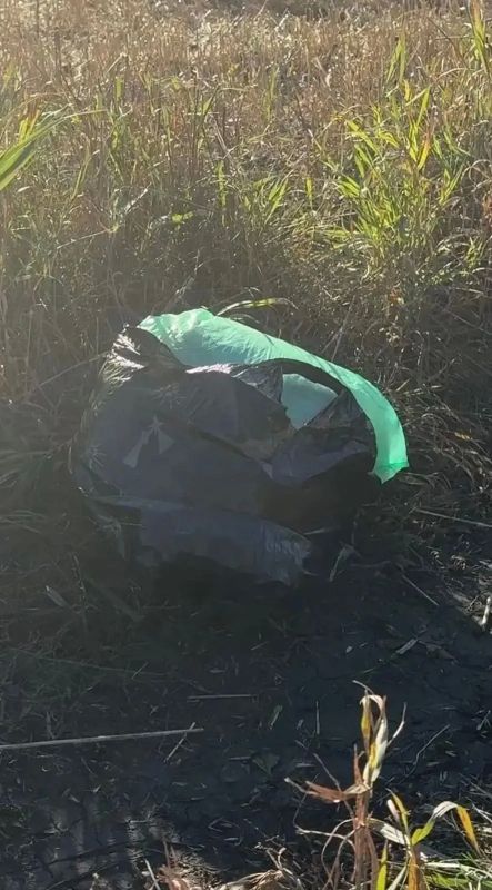Наркополицейские Чистополя изъяли из оборота около 1 кг растительных наркотиков