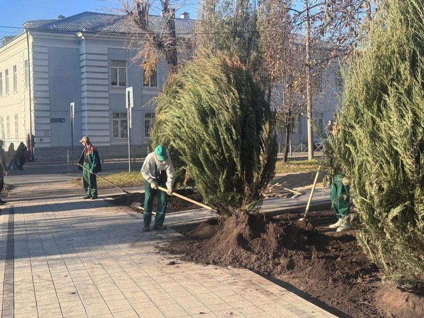 В Казани обновят сквер «Студенческий» и высадят можжевельник