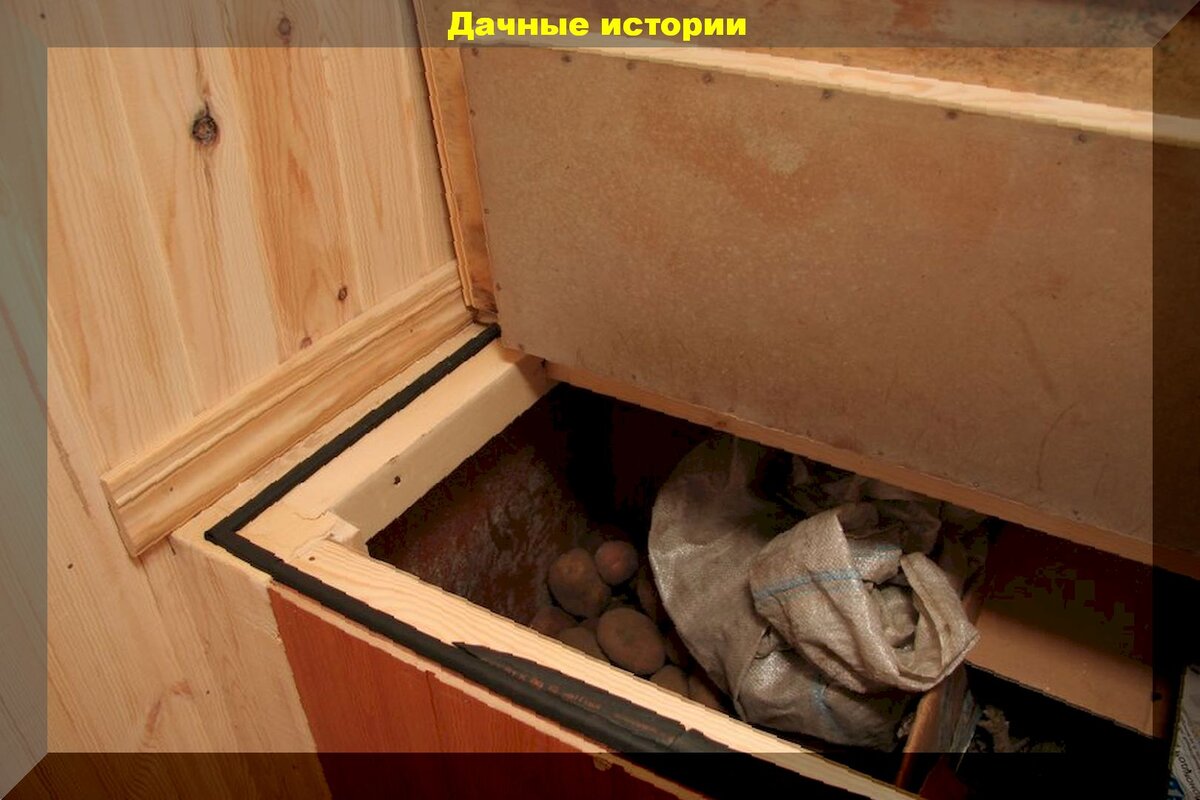 Яблоки и груши до весны: как сохранить урожай в городской квартире