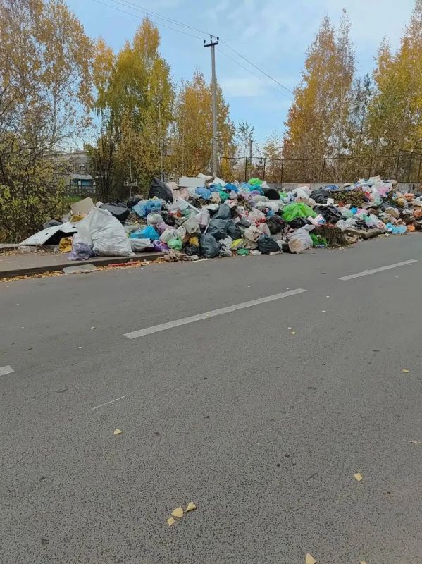 Татарстанцы жалуются на мусорные завалы во дворах Татарстанцы жалуются на мусорные завалы во дворах
