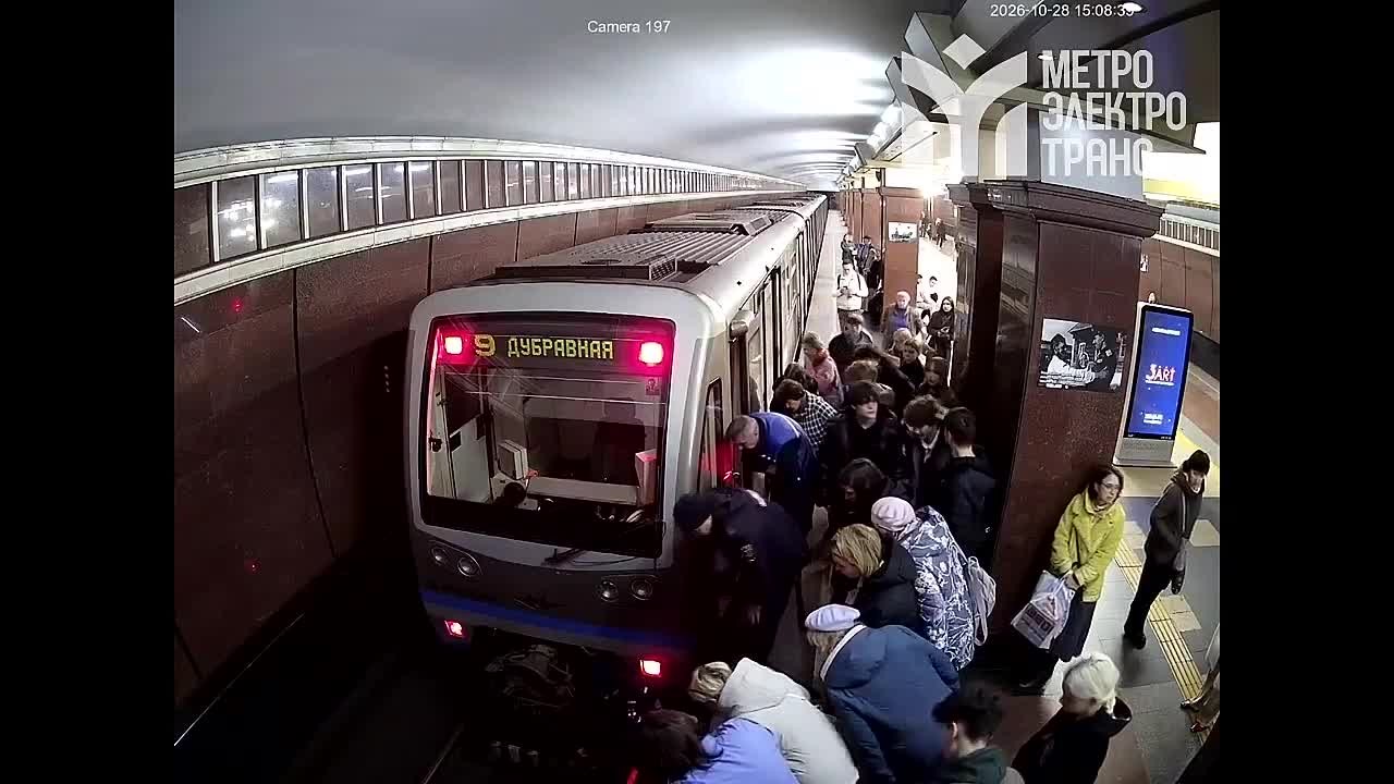 В казанском метро спасли пуделя, провалившегося под поезд