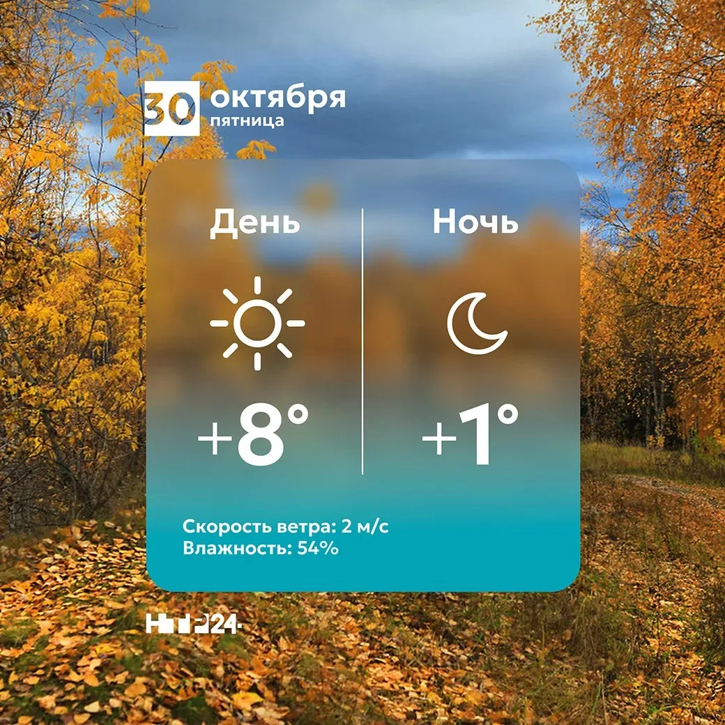 Доброе утро