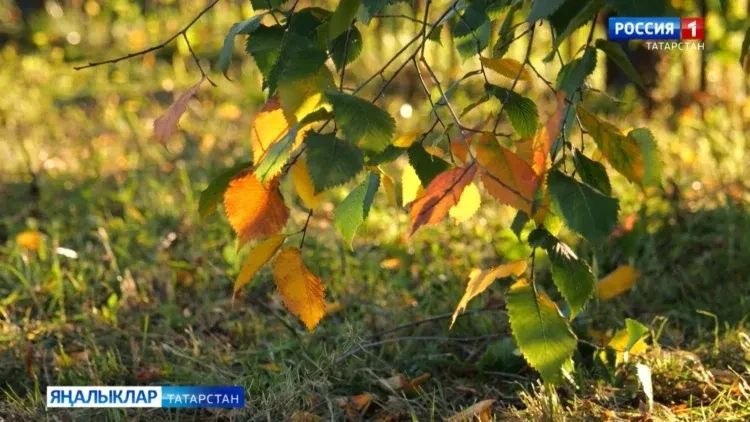 Прогноз погоды в Татарстане на 31 октября