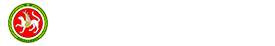 Лента новостей Татарстана
